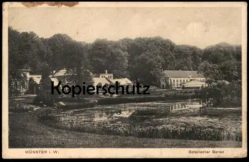 ALTE POSTKARTE MÜNSTER IN WESTFALEN BOTANISCHER GARTEN botanical garden Ansichtskarte AK postcard cpa