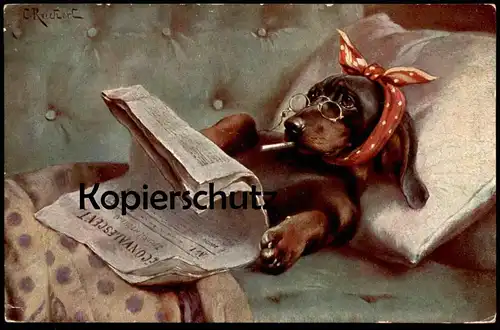 ALTE POSTKARTE DACKEL ZEITUNG RECONVALESCENT ZIGARETTE cigarette Hund Dachshund Teckel dog chien Ansichtskarte postcard