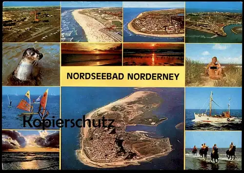 POSTKARTE NORDSEEBAD NORDERNEY FKK nudity nudist nude nudiste surfing horse riding North Sea cpa postcard Ansichtskarte
