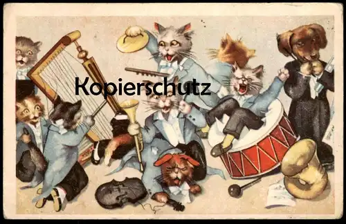 ALTE POSTKARTE KATZEN HUND ORCHESTER GEIGE Violine violin violon cat cats chat chats Katze cpa postard AK Ansichtskarte