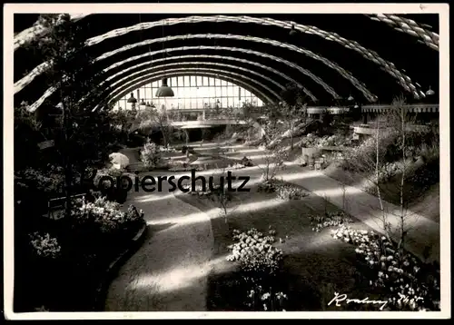 ALTE POSTKARTE MÜNSTER WESTFALEN GROSSE FRÜHLINGSBLUMENSCHAU HALLE MÜNSTERLAND 1956 cpa postcard AK Ansichtskarte