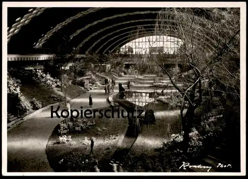 ALTE POSTKARTE MÜNSTER WESTFALEN GROSSE FRÜHLINGSBLUMENSCHAU HALLE MÜNSTERLAND 1956 cpa postcard AK Ansichtskarte