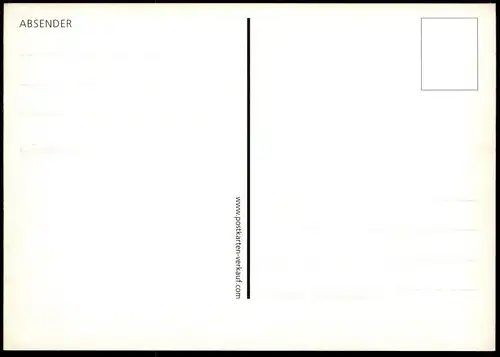 POSTKARTE KAMELE Kamele Kamel camel camels chameau Dromedar Wüste desert Kameltreiber dromedary dromadaire postcard cpa