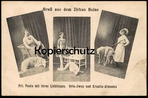 ALTE POSTKARTE ZIRKUS BEINE HUNDE cirque circus Borzoi ? Russischer Wolfshund ? dog chien Ansichtskarte postcard cpa AK