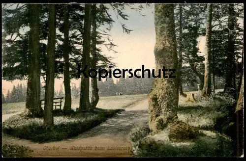 ALTE POSTKARTE OBERHOF THÜRINGEN WALDPARTIE BEIM LOUISENSITZ Wald Bäume trees Ansichtskare AK cpa postcard