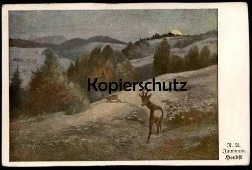 ALTE POSTKARTE HERBST RUDOLPH ALFRED JAUMANN HERBST HIRSCH BRUNFT roe deer cerf chevreuil autumn automne Ansichtskarte