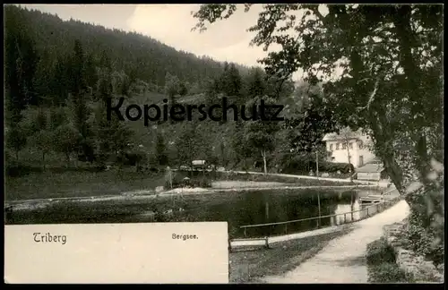 ALTE POSTKARTE TRIBERG BERGSEE Wasserspiel fountain fontaine AK Ansichtskarte cpa postcard