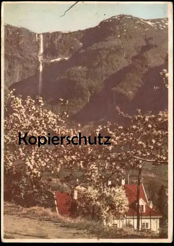 ALTE POSTKARTE NORGE 1944 HARDANGER I BLOMST VERLAG OPPI Norwegen norway Norvege postcard cpa