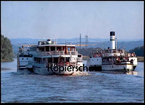 ÄLTERE POSTKARTE SCHIFF GRÄFIN COSEL UND SCHIFF DRESDEN BEI PILLNITZ Schiff Motorschiff ship bateau Ansichtskarte