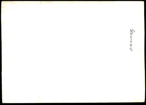 ALTE KARTE LEVICO TERME MIT ALTEM HAUS Löweneck Efeu Wein ? Trento Trentino Südtirol Italien Italia italy Foto Photo