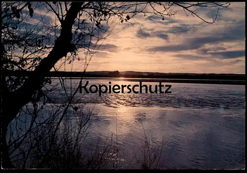 ÄLTERE POSTKARTE NINEVAH TIGERS AT SUNSET Tigris Irak Iraq postcard Ansichtskarte AK cpa