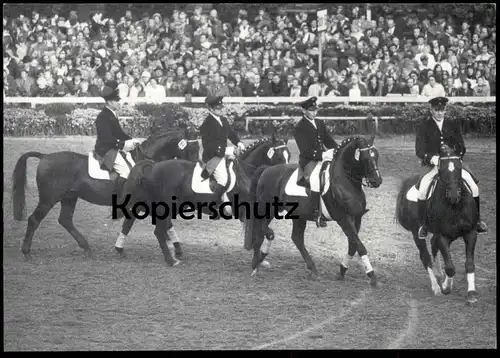 ALTE POSTKARTE HENGSTPARADE LANDGESTÜT WARENDORF Hengst Pferde horses horse Pferd postcard cpa Ansichtskarte Reitsport