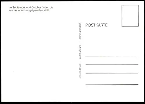 ALTE POSTKARTE HENGSTPARADE LANDGESTÜT WARENDORF Hengst Pferde horses horse Pferd postcard cpa Ansichtskarte Reitsport