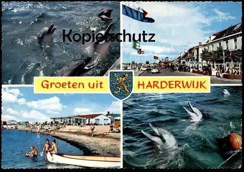 ÄLTERE POSTKARTE GROETEN UIT HARDERWIJK Delphine Delfine Delfin Dolphin Dauphin cpa postcard Ansichtskarte AK