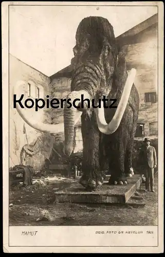 ALTE POSTKARTE BRNO 1928 MAMMUT MAMUT VYSTAVA SOUDOBE KULTURY BÖHMEN mammoth Brünn ceska republika czech republic cpa AK
