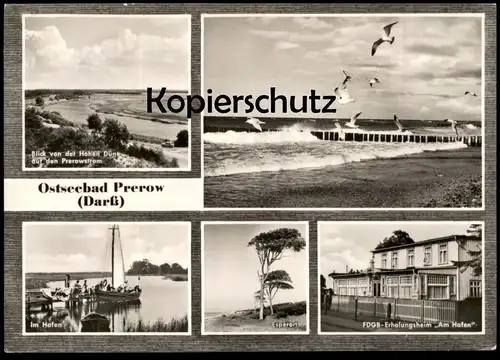 ÄLTERE POSTKARTE OSTSEEBAD PREROW DARSS BLICK VON DER HOHEN DÜNE AUF PREROWSTROM ERHOLUNGSHEIM ESPERORT AK Ansichtskarte