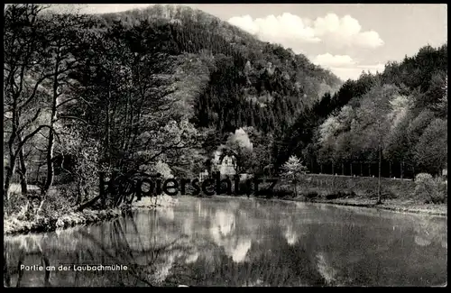 ÄLTERE POSTKARTE PARTIE AN DER LAUBACHMÜHLE LAUBACH WIED Wiedbachtal Laubachsmühle Neuwied Ansichtskarte AK postcard cpa