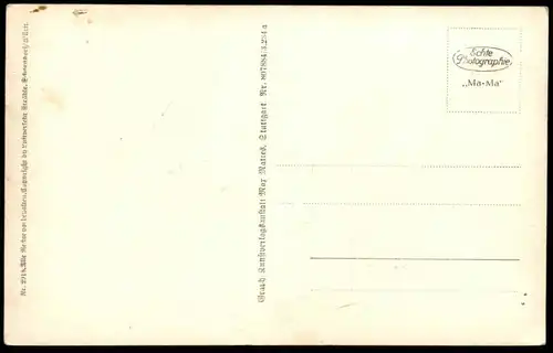 ALTE POSTKARTE INSEL REICHENAU IM BODENSEE NIEDERZELL VOM FLUGZEUG AUS FLIEGERAUFNAHME LUFTBILD Ansichtskarte postcard