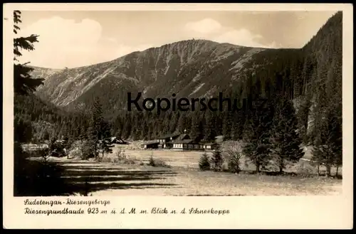 ALTE POSTKARTE RIESENGRUNDBAUDE RIESENGEBIRGE MIT BLICK NACH DER SCHNEEKOPPE Schlesien Ansichtskarte AK cpa postcard