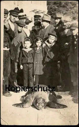 ALTE FOTO POSTKARTE UNECHTE KARETTSCHILDKRÖTE KINDER SCHILDKRÖTE tortoise turtle tortue géante cpa postcard AK