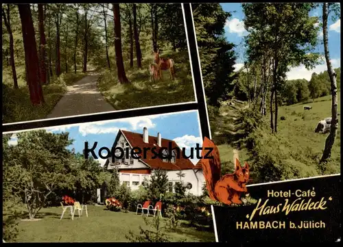 ÄLTERE POSTKARTE HAMBACH BEI JÜLICH WALDHOTEL HAUS WALDECK BEI STETTERNICH Niederzier Wildspezialitäten Elch Bär Löwe