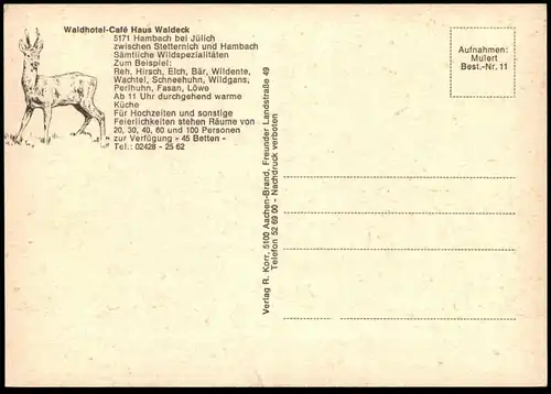 ÄLTERE POSTKARTE HAMBACH BEI JÜLICH WALDHOTEL HAUS WALDECK BEI STETTERNICH Niederzier Wildspezialitäten Elch Bär Löwe