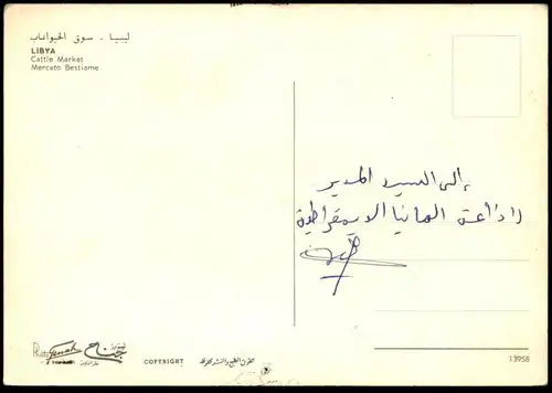 ÄLTERE POSTKARTE LIBYA CATTLE MARKET MERCATO BESTIAME CAMEL TRIPOLI  LIBYEN Tripolis Libiya cpa postcard Ansichtskarte