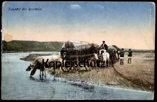 ALTE POSTKARTE SALUTARI DIN ROMANIA Landwirte Farmer Kuh Treck cow vache Rumänien roumanie Ansichtskarte AK cpa postcard