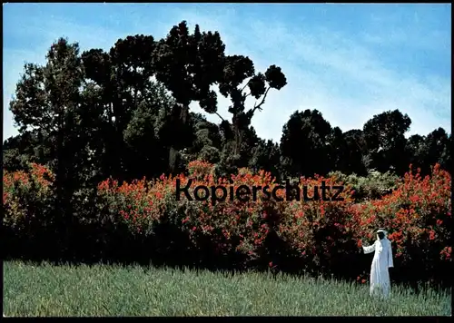 ÄLTERE POSTKARTE AZIR MOUNTAINS GARDENS NEAR ABHA Saudi Arabia Ansichtskarte AK cpa postcard