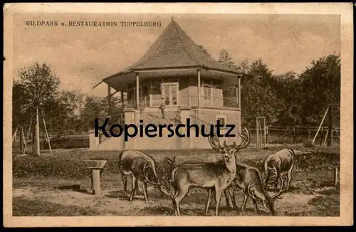 ALTE POSTKARTE WILDPARK RESTAURATION TUPPELBURG HIRSCHE TEPLITZ TEPLICE Dubi Eichwald ceska republika czech postcard cpa