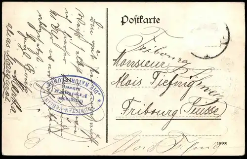 ALTE POSTKARTE RASTATT OTTERSDORFERTOR OTTERSDORFERTOR Hund Dackel Teckel Stempel Touristen Verein Naturfreunde Freiburg