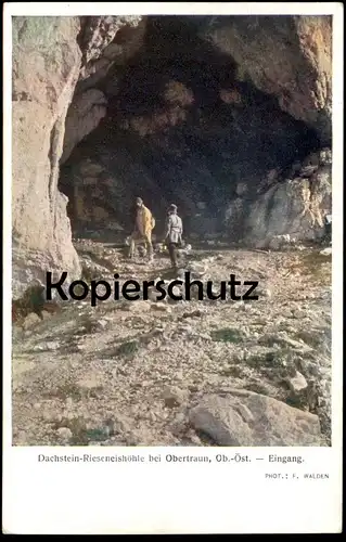 ALTE POSTKARTE DACHSTEIN RIESENEISHÖHLE OBERTRAUN OBERÖSTERREICH EINGANG Höhle cave grotte Österreich postcard cpa AK