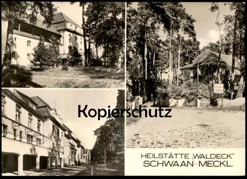 ÄLTERE POSTKARTE SCHWAAN HEILSTÄTTE WALDECK MECKLENBURG VORPOMMERN Ansichtskarte AK cpa postcard