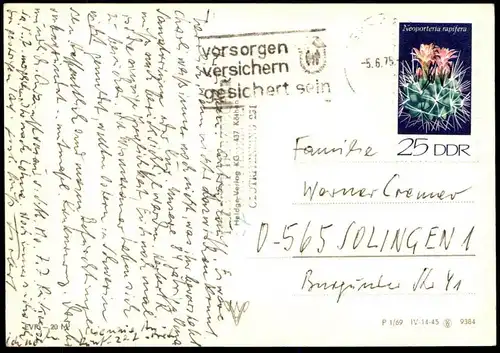 ÄLTERE POSTKARTE WISMAR VOR WENDORF AM MARKT MIT WASSERKUNST UND RATHAUS HAFEN Kaktus Briefmarke cactus stamp postcard