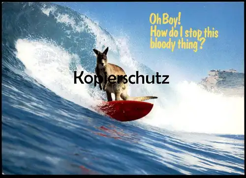 ÄLTERE POSTKARTE KÄNGURUH SURFT SURFEN HUMOR OH BOY! HOW DO I STOP THIS BLOODY THING? kangaroo surfing postcard cpa AK