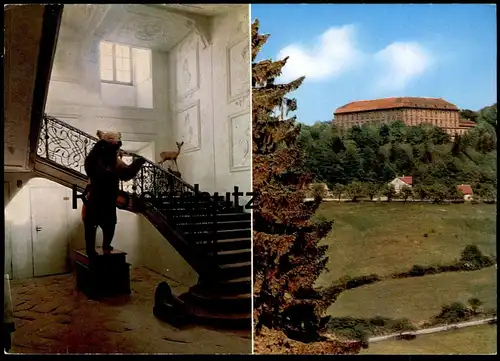 ÄLTERE POSTKARTE PRÄPARIERTER BÄR SCHLOSS SCHILLIGSFÜRST ours bear cpa Ansichtskarte postcard AK