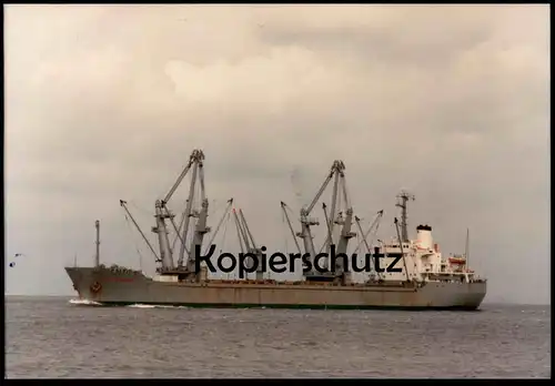 ÄLTERE FOTO POSTKARTE M.S. TRAUTENFELS SCHELDE 18.06.1992 FRACHTSCHIFF Schiff cargo ship postcard photo Ansichtskarte AK