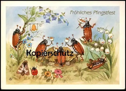 ÄLTERE POSTKARTE FRÖHLICHES PFINGSTFEST MAIKÄFER VERMENSCHLICHT KÄFER Pfingsten Motte Marienkäfer pentecost chafer cpa