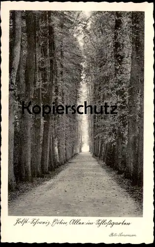 ALTE POSTKARTE HOLSTEINISCHE SCHWEIZ EUTIN ALLEE IM SCHLOSSGARTEN FOTO SIMONSEN alley rue Ansichtskarte AK cpa postcard