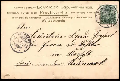 ALTE POSTKARTE PROSIT NEUJAHR FRAU SCHWEIN AM STRICK new year bonne année pig maitre cochon Ansichtskarte postcard cpa