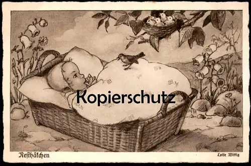 ALTE POSTKARTE NESTHÄKCHEN KIND BABY & VOGEL WIEGE LOTTE WITTIG child cradle bird enfant Ansichtskarte postcard cpa AK