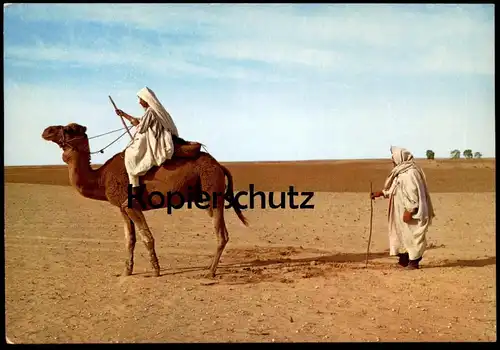 ÄLTERE POSTKARTE LIBYA LIBIA KAMELE REITER KAMEL LIBYEN Libiya riding camel camels in the desert chameau cpa postcard AK