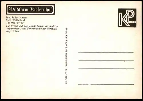 ÄLTERE POSTKARTE WILDFARM KIEFERNHOF LANDGASTHAUS BAR JULIUS HARZER WALLSCHEID WITTLICH-LAND Ansichtskarte postcard cpa