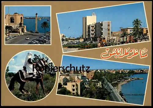 ÄLTERE POSTKARTE LIBYA SOUVENIR LIBIA TRIPOLI TRIPOLIS REITER PFERD LIBYEN Libiya horse cpa postcard Ansichtskarte AK