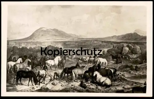 ALTE POSTKARTE GESTÜT LIPPIZA NACH EINEM GEMÄLDE J. G. HAMILTON Lipizza Lipica Lipizzaner Lipizzan horse horses cheval