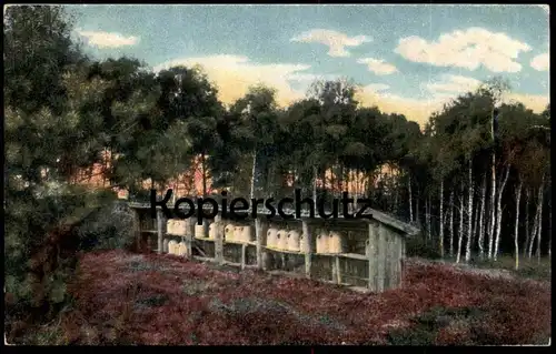 ALTE POSTKARTE LÜNEBURGER HEIDE BIENENKORB Biene Bienen Ruche Skip Beehive Bee apiculture apiary beekeeping cpa postcard