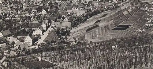 ALTE POSTKARTE STETTEN IM REMSTAL TOTAL WEINLAGE WEIN wine vine vin grape-vine vigne Weinrebe cpa postcard Ansichtskarte