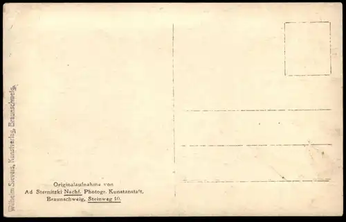 ALTE POSTKARTE BRAUNSCHWEIG FEST PARADE VERMUTLICH KAISERBESUCH Festschmuck Flaggen Kaiser cpa postcard AK Ansichtskarte