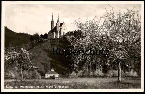 ALTE POSTKARTE JUDENDORF-STRASSENGEL WALLFAHRTSKIRCHE MARIA BEI GRAZ STEIERMARK AUSTRIA Autriche Kirschbaum Cherry tree