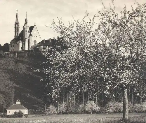 ALTE POSTKARTE JUDENDORF-STRASSENGEL WALLFAHRTSKIRCHE MARIA BEI GRAZ STEIERMARK AUSTRIA Autriche Kirschbaum Cherry tree